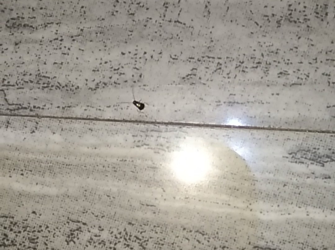 Zanrock Micro Hotel and Orlando's Resto Bar主图