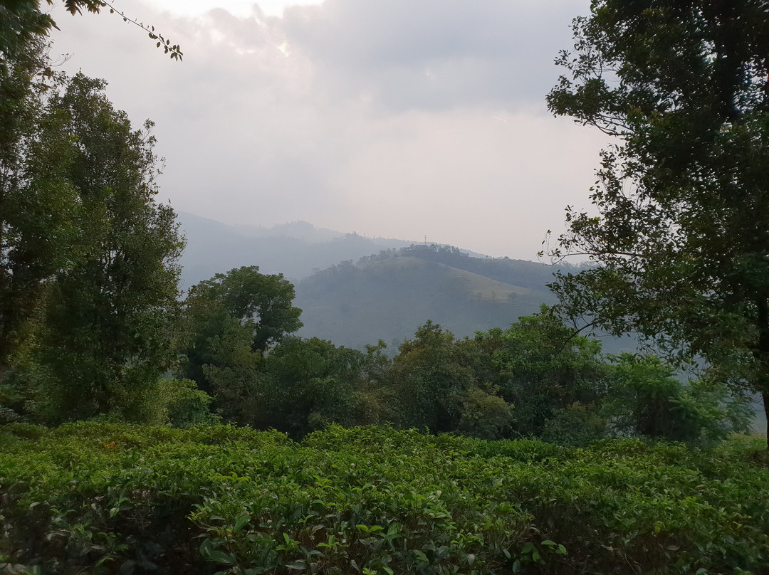 Upper Donside Planter's Bungalow主图