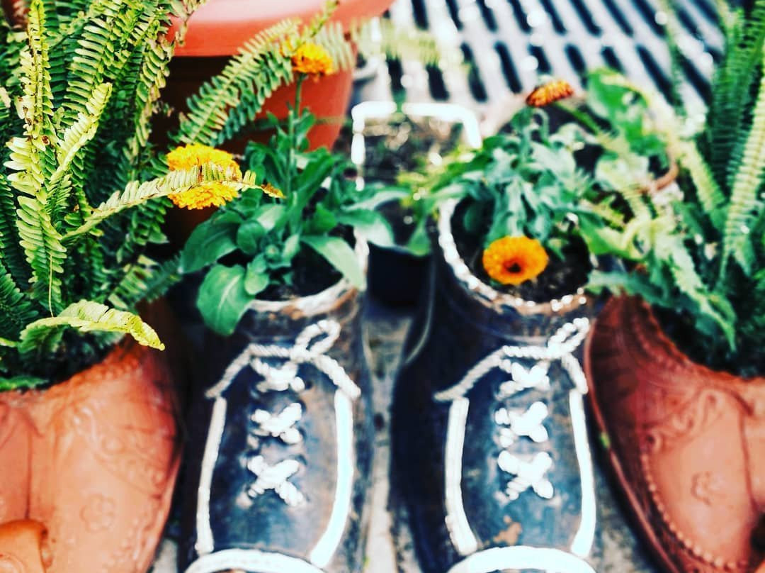 Dippy's The Boutique Hotel主图