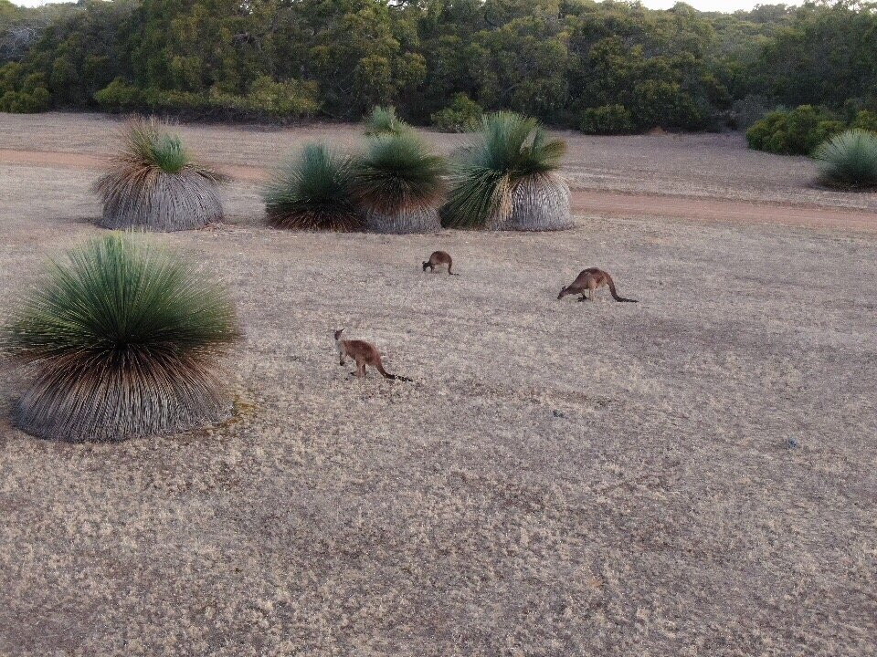 Eleanor River Homestead - Kangaroo Island主图