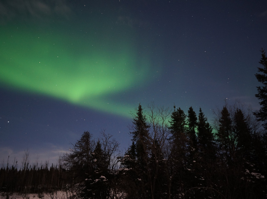 Fairbanks Aurora Tours景点图片