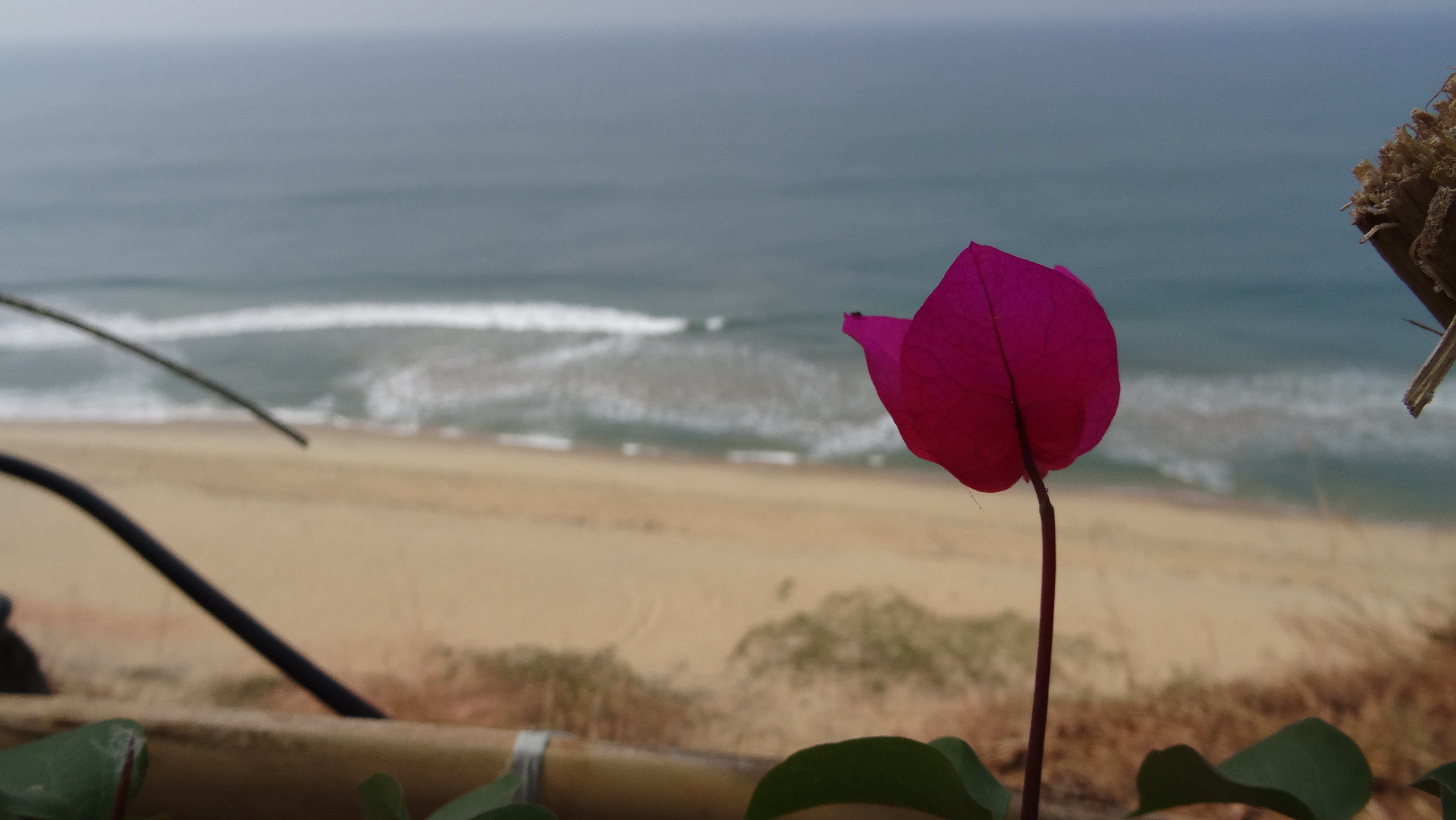 Blooming Bay - Clifftop Beach Resort-酒店景观