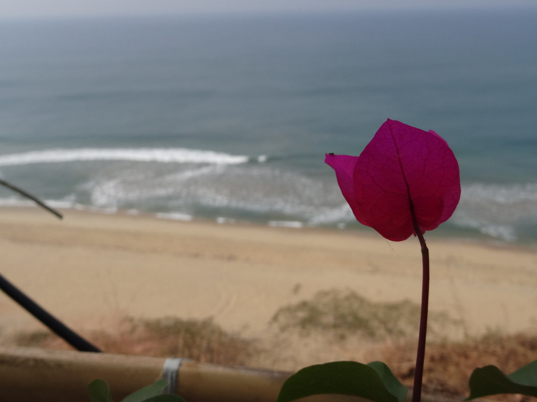 Blooming Bay - Clifftop Beach Resort主图