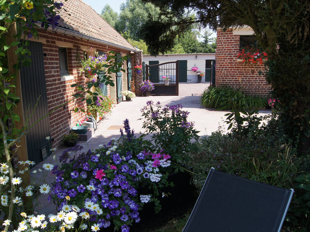 Le Paddock du Val de Lys主图