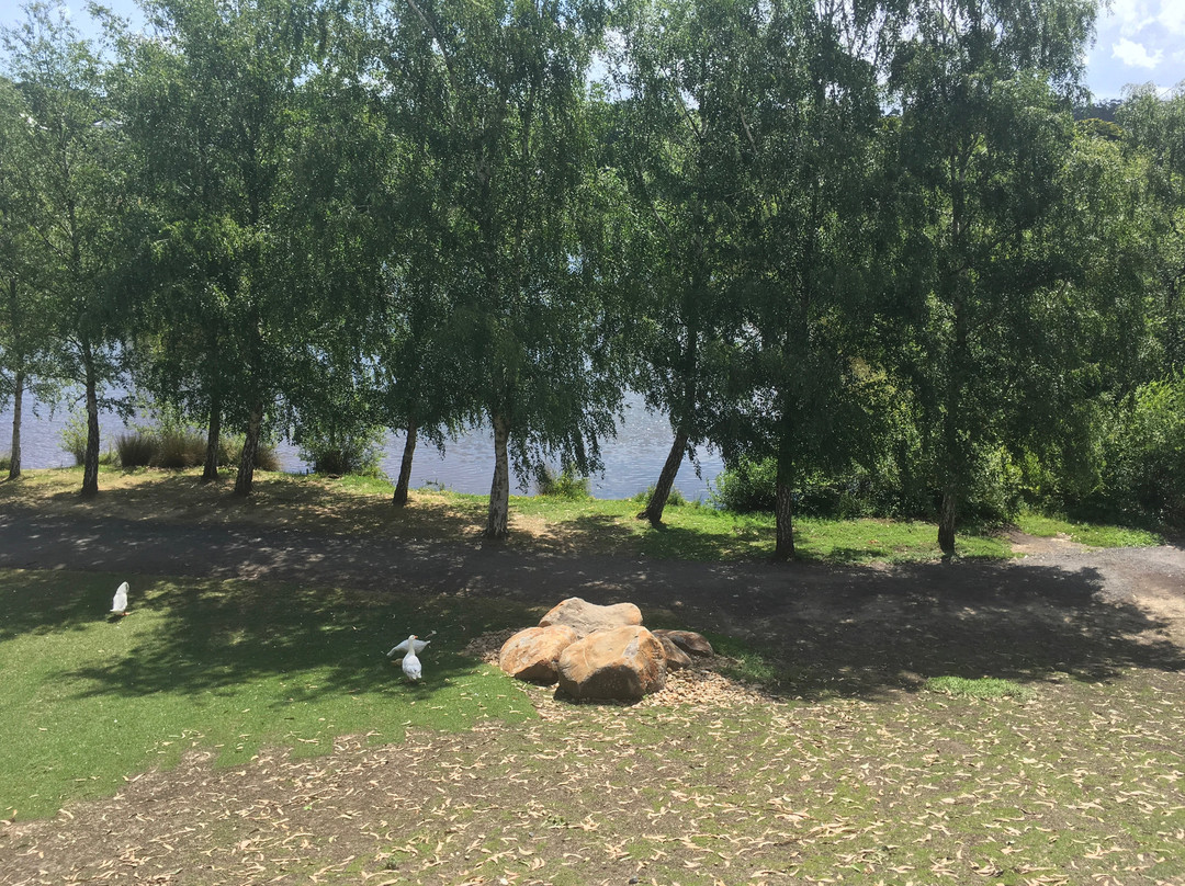 戴尔斯福德湖畔别墅酒店主图