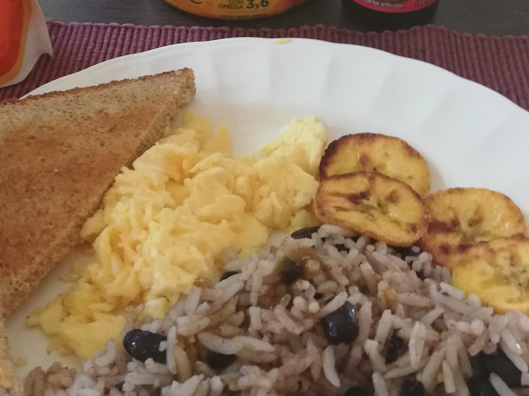 B&B Garden Grecia主图