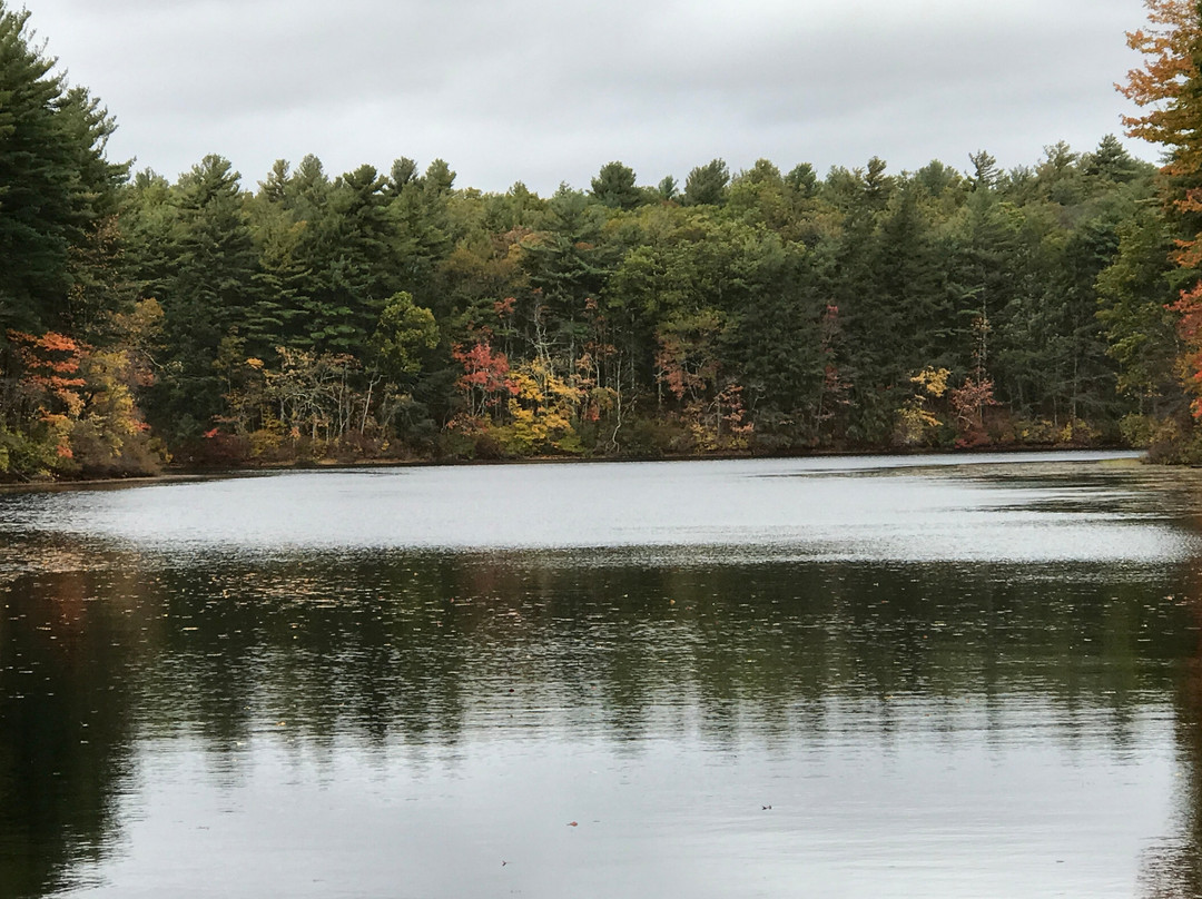 F. Gilbert Hills State forest-福克斯伯勒必去景点