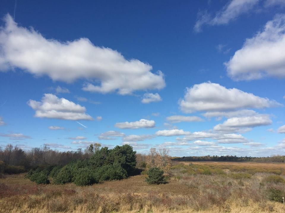 Woodland Dunes Nature Center-Two Rivers必去景点
