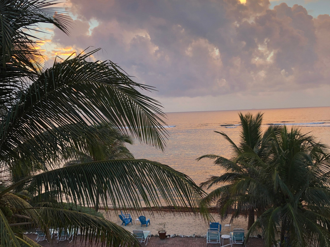 Turtle Nest Inn主图