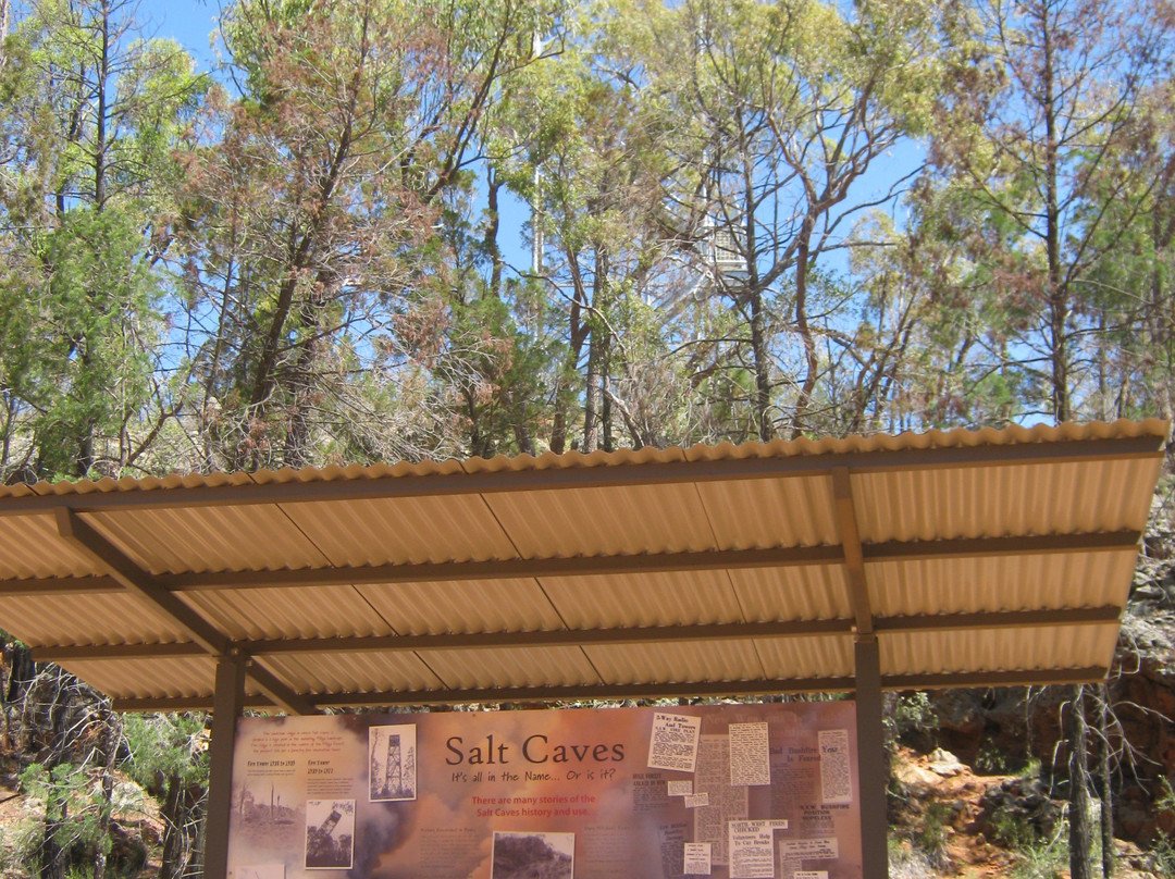 Pilliga National Park-Coonabarabran必去景点