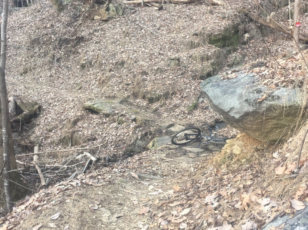 Buffalo Creek Park Mountain Biking Trail-Lake Lure必去景点
