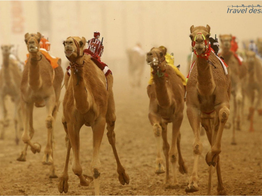 Al Shahaniya Racetrack-Ash-Shahaniyah必去景点
