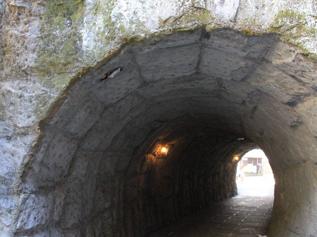 Rentaro Tunnel景点图片