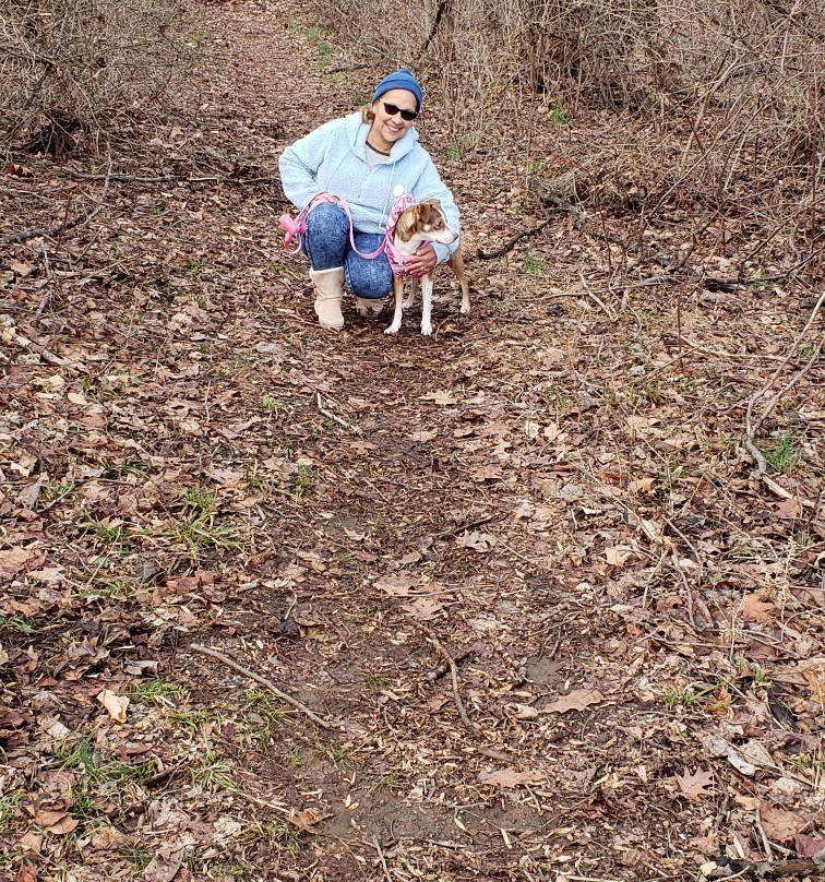 Carousel Park & Equestrian Center-威尔明顿必去景点