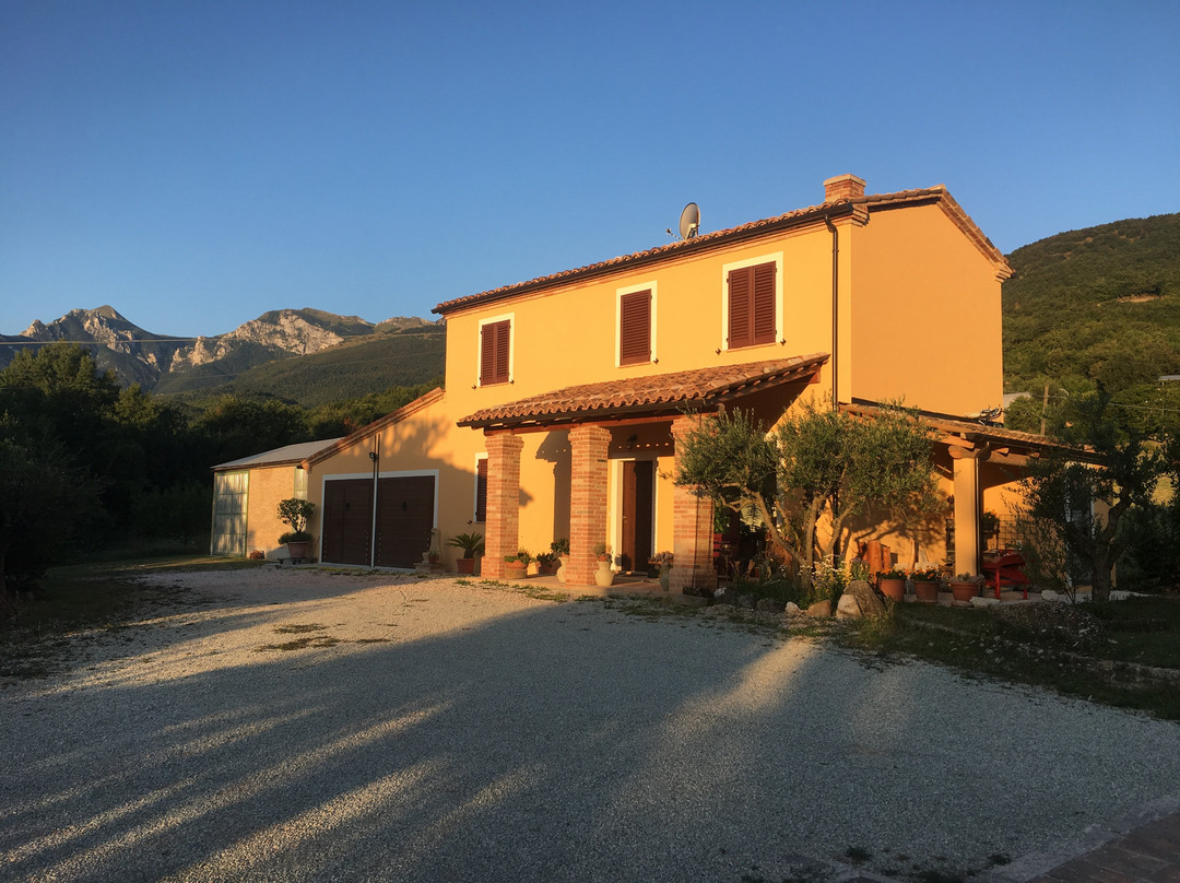 B&B Amici Country主图