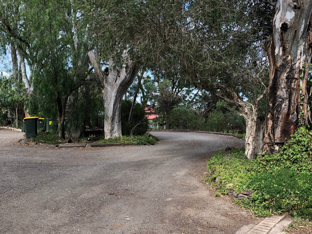 鹰铸造床和早餐主图