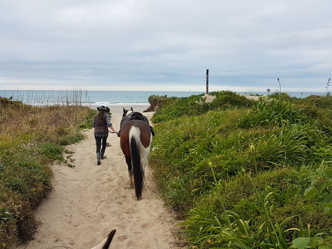 Ahipara Horse Treks-Ahipara必去景点