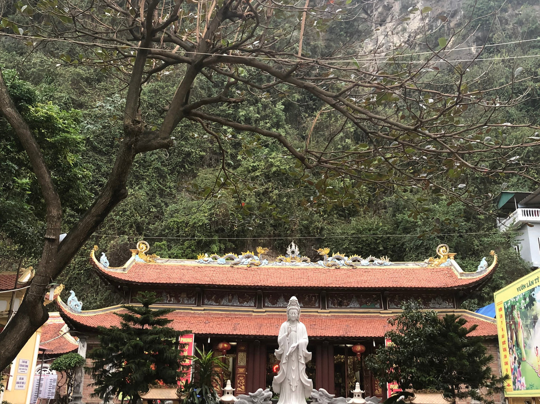 Long Tien Pagoda-下龙湾必去景点