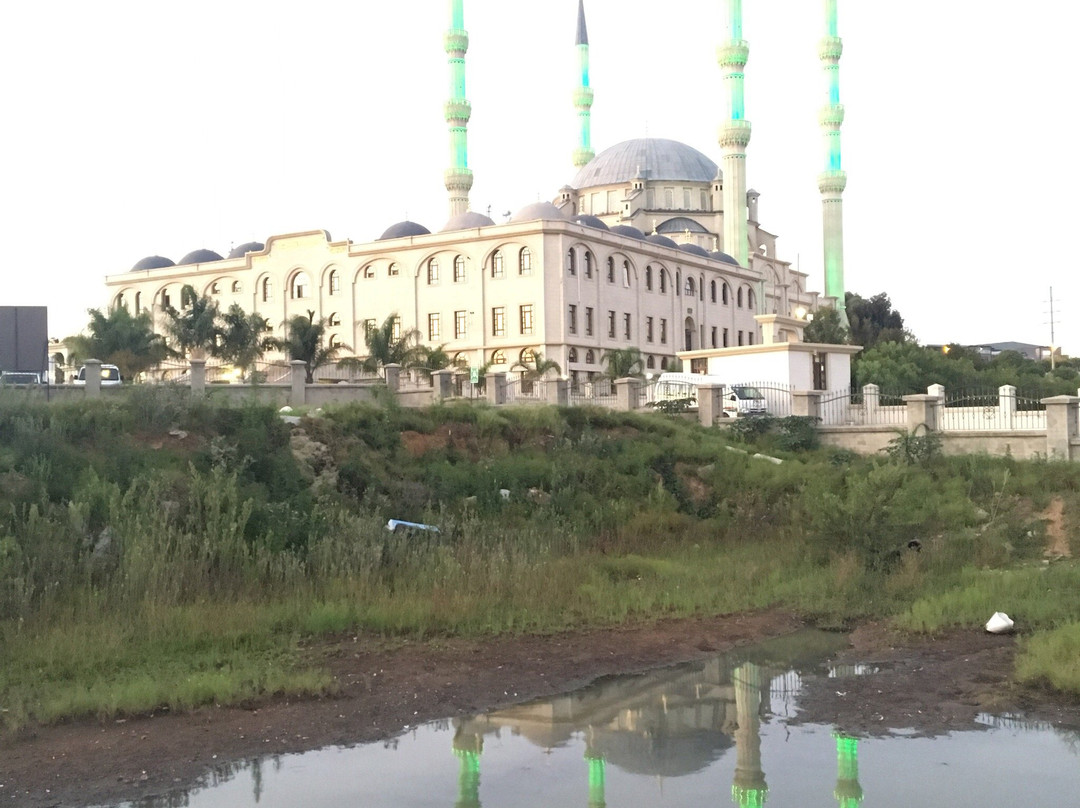 Nizamiye Mosque景点图片