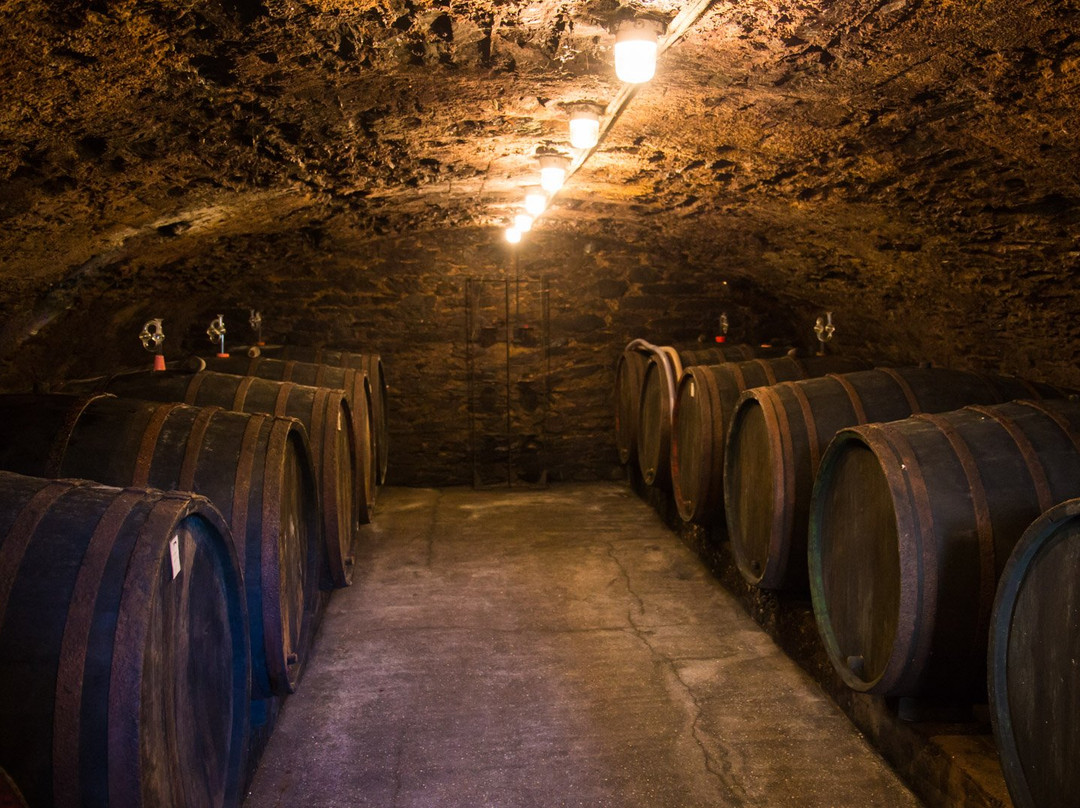 祖尔波斯特酒店 - 摩泽尔河畔城堡主图