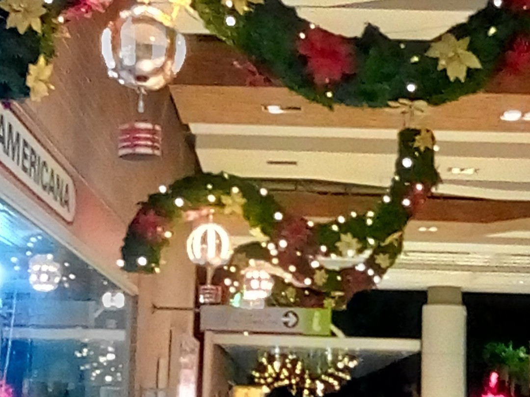 Centro Comercial Santa Lucia Plaza-内瓦必去景点