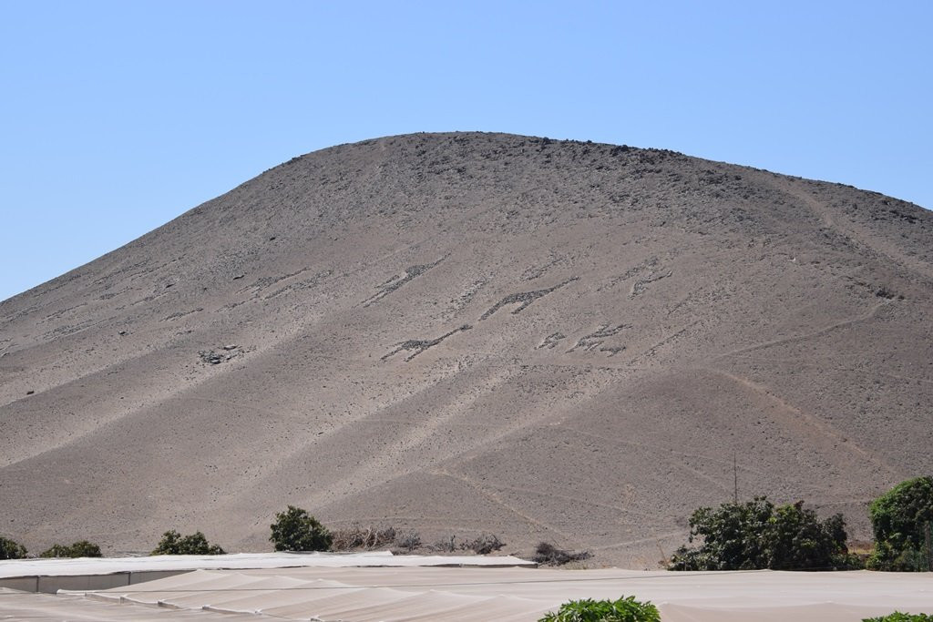 La Tropilla Geoglyphs景点图片