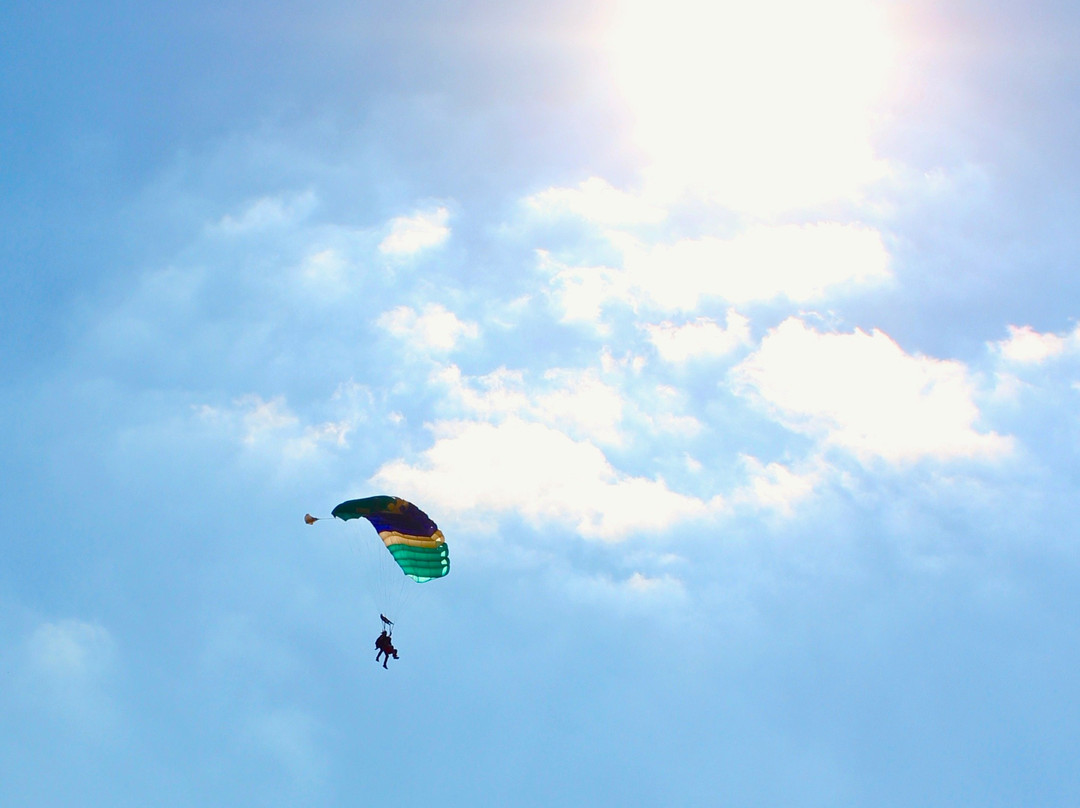 Texas Skydiving景点图片