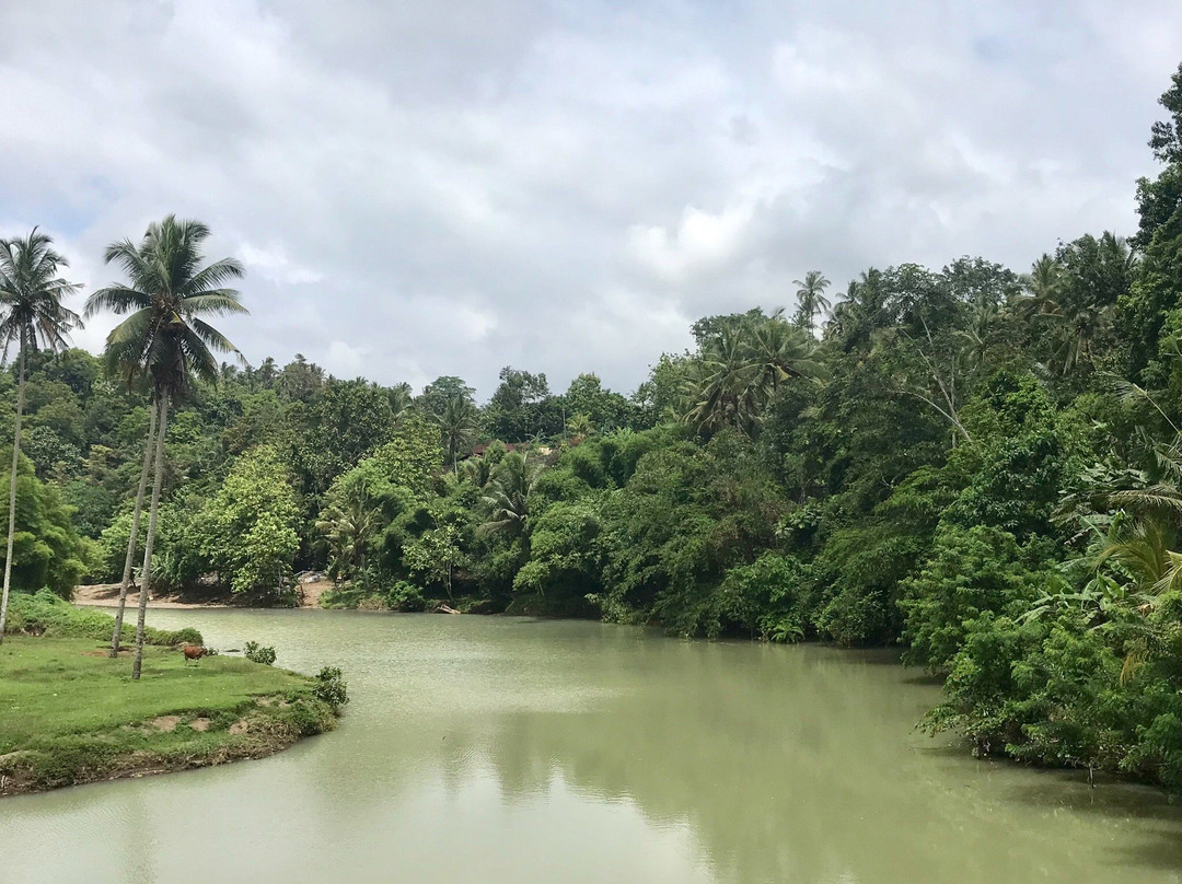 Bali Rice Padi-巴厘岛必去景点