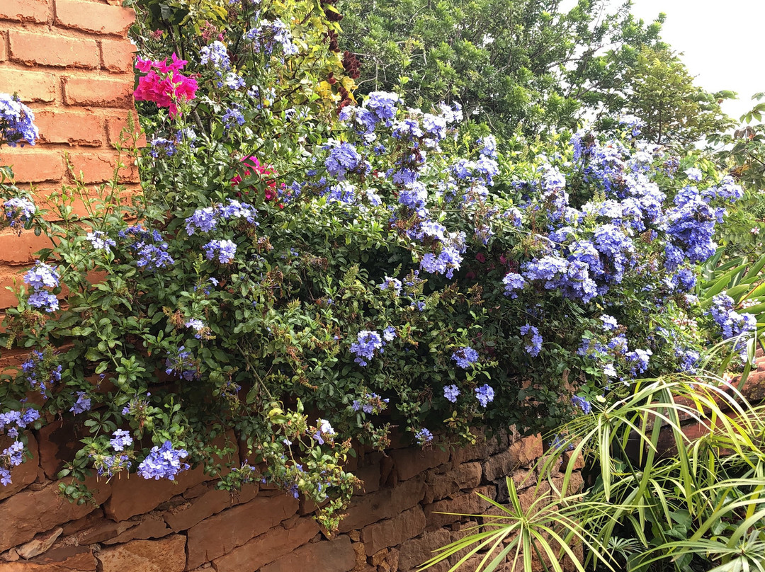 Achiotte Masaya Collection主图