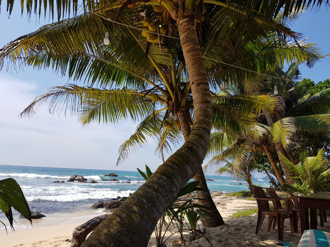 Ram's Surfing Beach Midigama主图