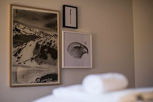 Fugl Fonix Hotel主图