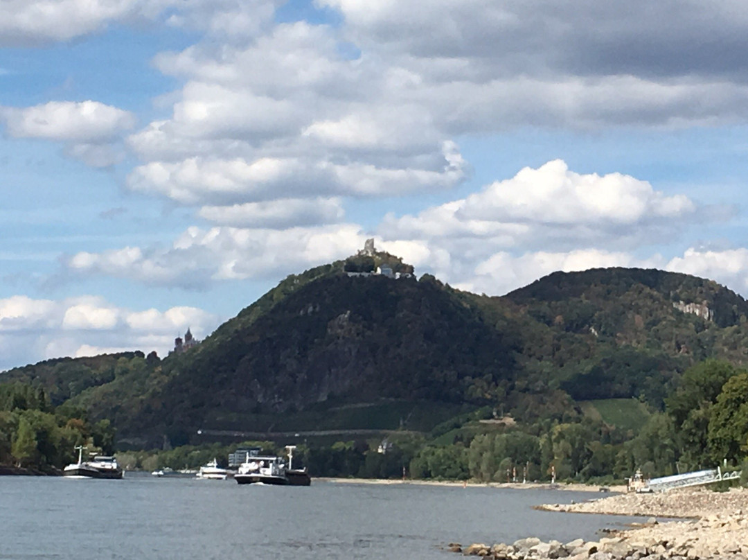 Naturpark Siebengebirge景点图片