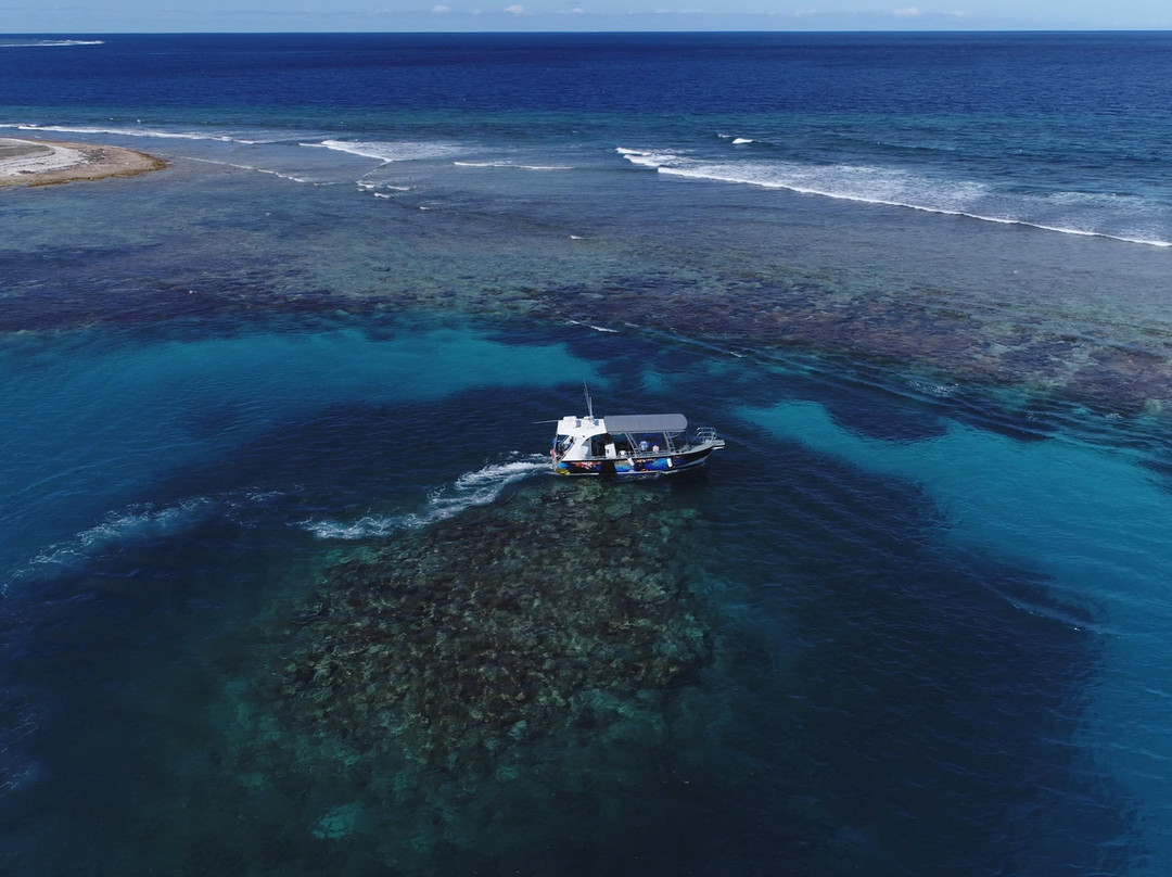 Piatella Glass Bottom Boat Tours-杰拉尔顿必去景点