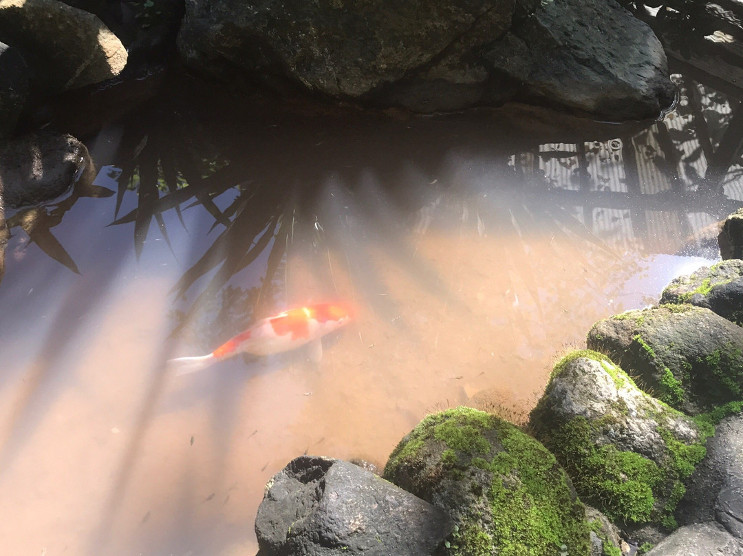 Swankiri Exclusive Farm Resort主图