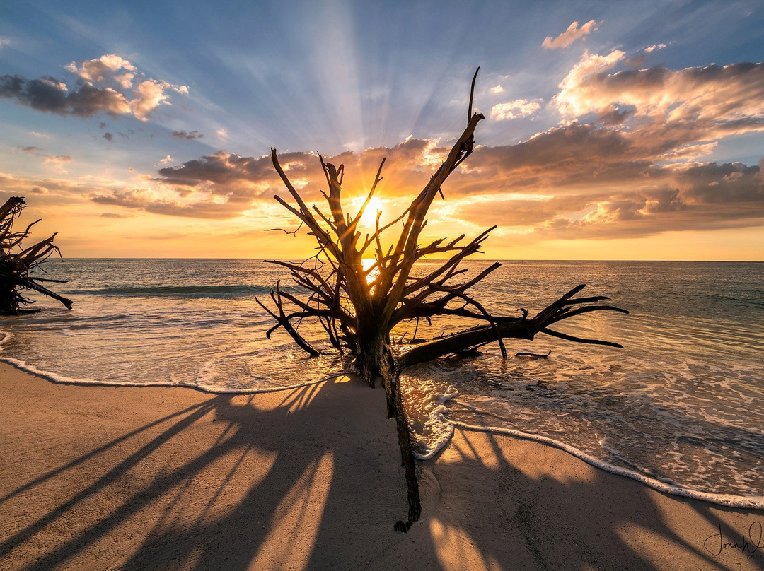 Tiki Bay Island-Apollo Beach必去景点