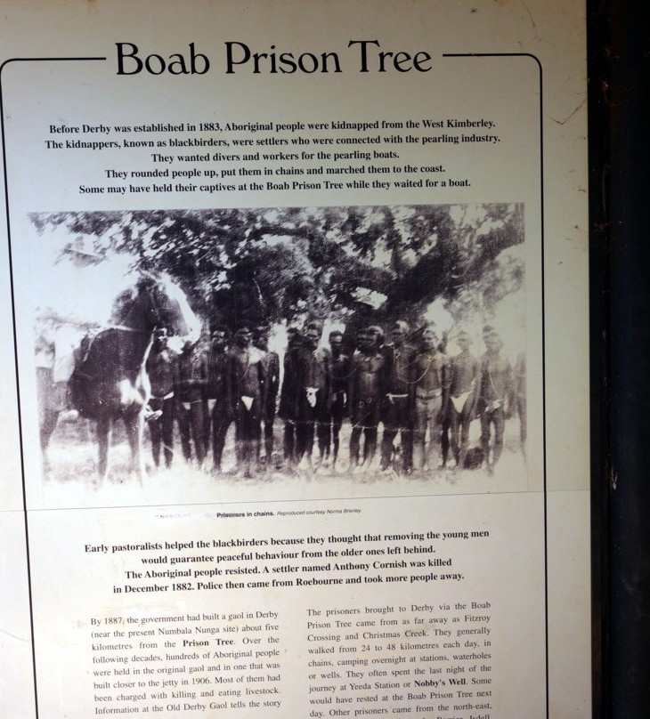 Boab Prison Tree景点图片