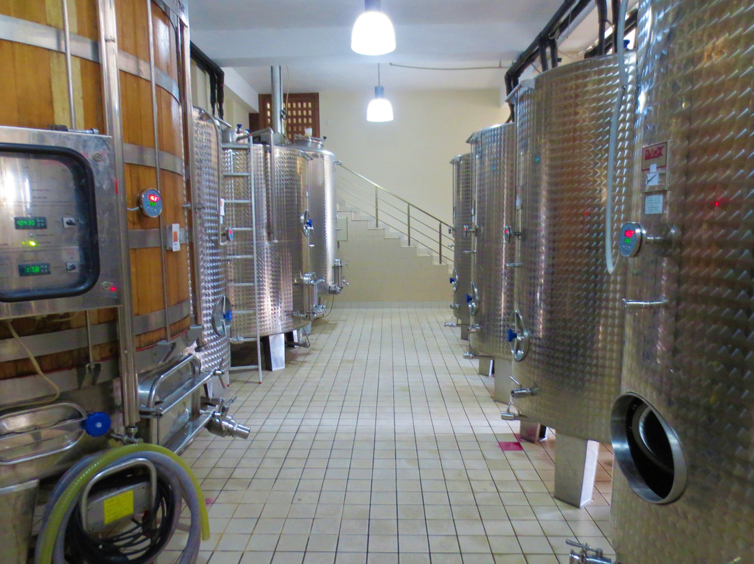 Wine Tours Macedonia-斯科普里必去景点