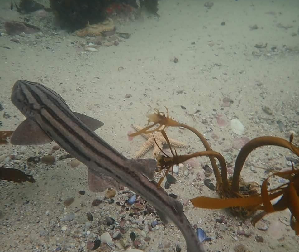 Scuba Shack-西门镇必去景点