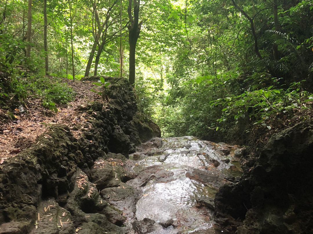Daliran Cave-吉马拉斯岛必去景点
