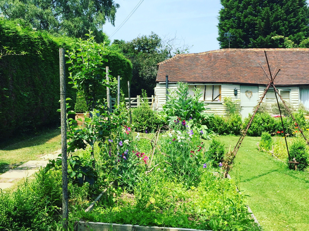 Lower Crabb Country House B&B主图