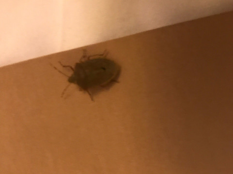 Grand Market Luxury Apartments主图