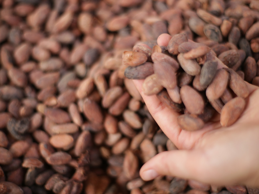 Hacienda El Castillo-San Isidro必去景点