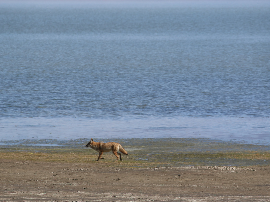 San Luis State Park-Mosca必去景点