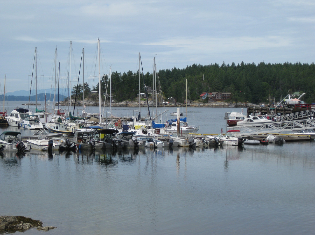 Sunshine Highway BC 101-温哥华必去景点