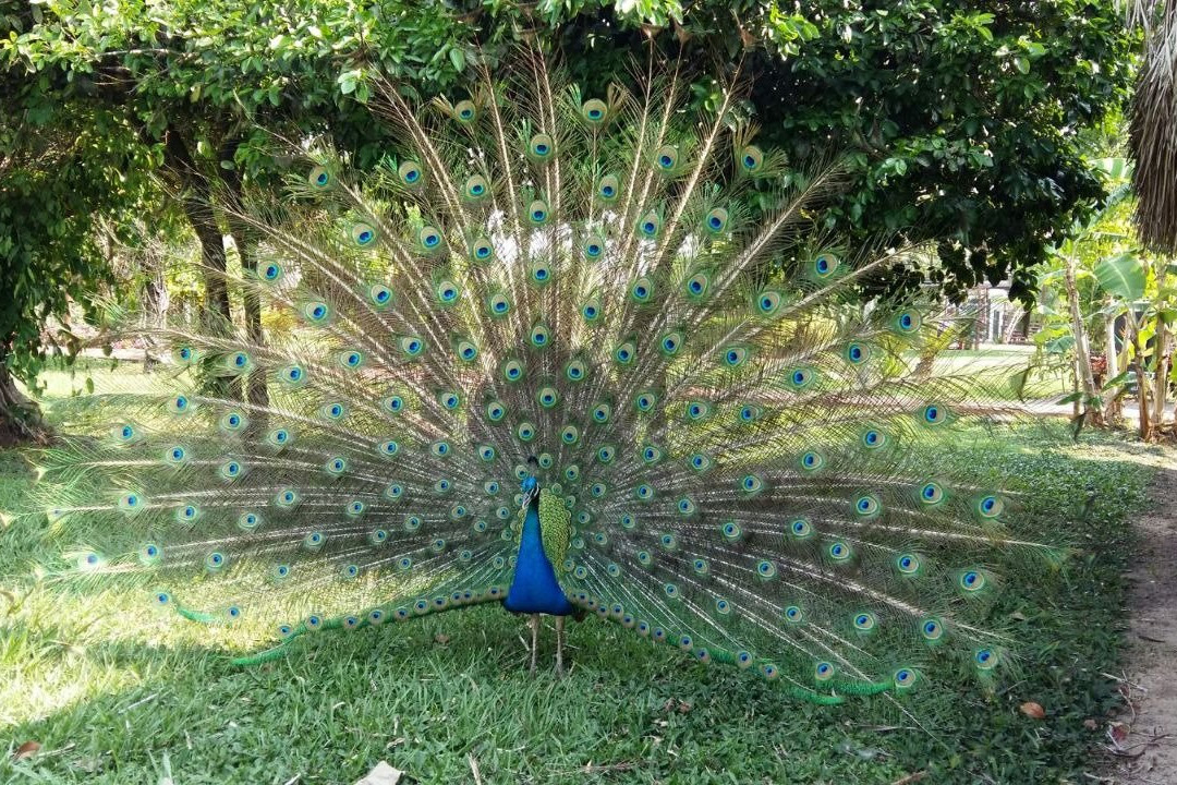 Hotel Spa Santa Maria La Antigua主图