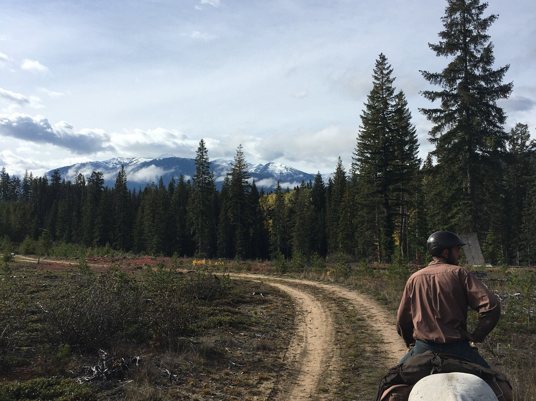 Willow Ranch-维尔蒙特必去景点