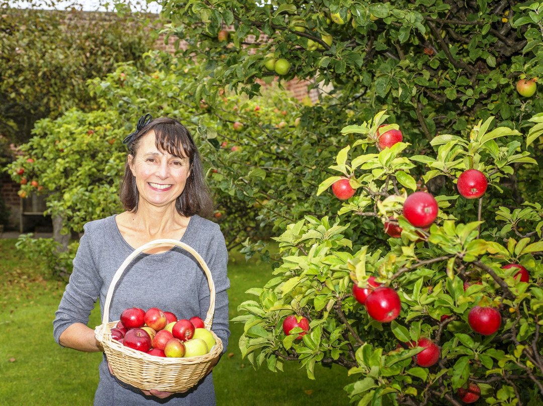 Springfield Guest House主图