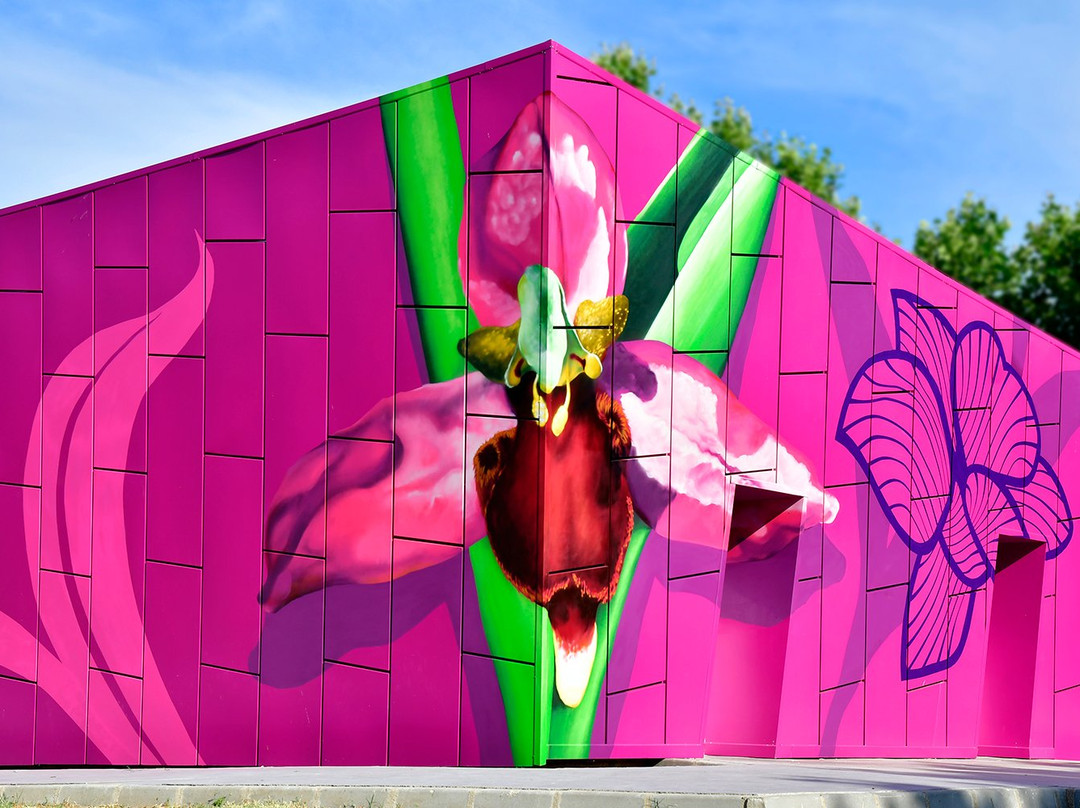 Centro de Interpretacion de la Orquidea Orchydarium景点图片