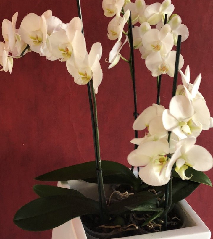 Hotel Le Montloire主图