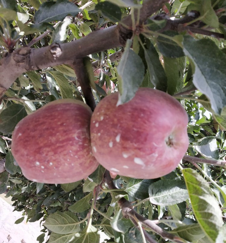 Hotel Prakash Regency主图